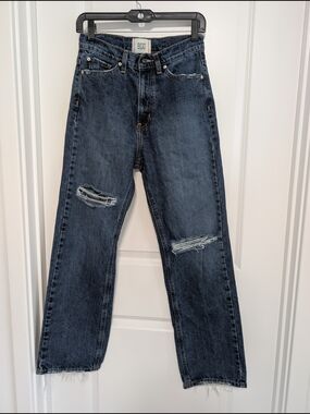 BDG Urban Pitfitters Women Cowboy Ripped Jeans